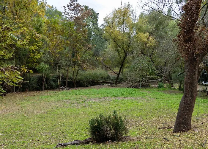 Molino De Gris Cazorla