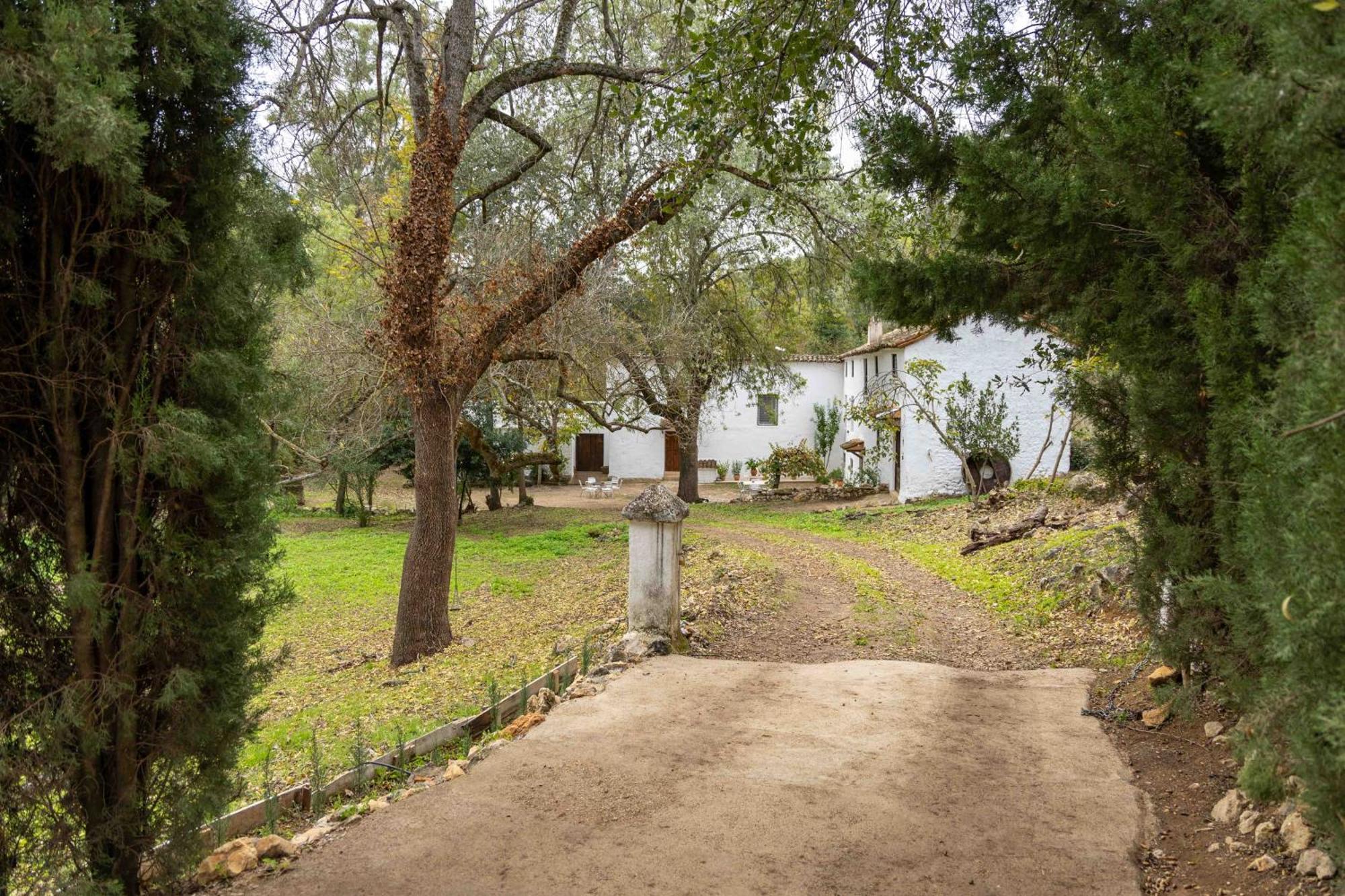 Molino De Gris Cazorla Hébergement de vacances *